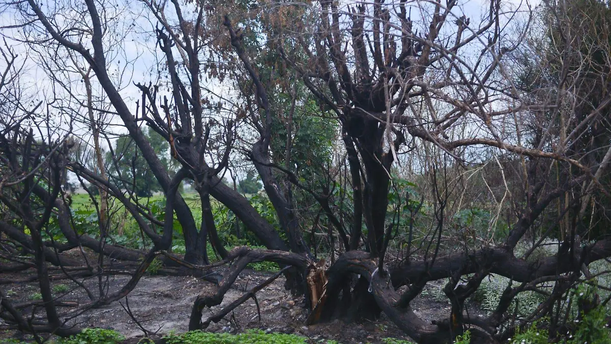 alza en incendios